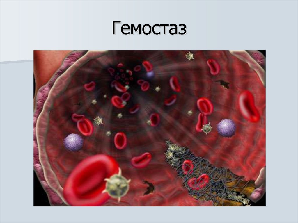 Гемостаз картинки для презентации