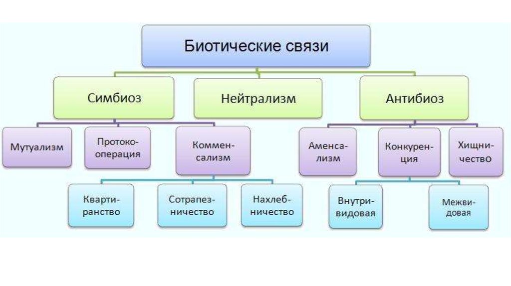 Презентация по биологии 9 класс межвидовые отношения организмов в экосистеме