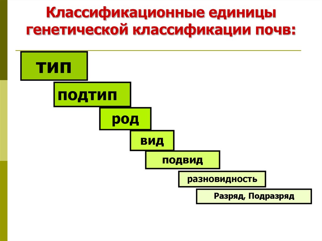 Единицы классификации