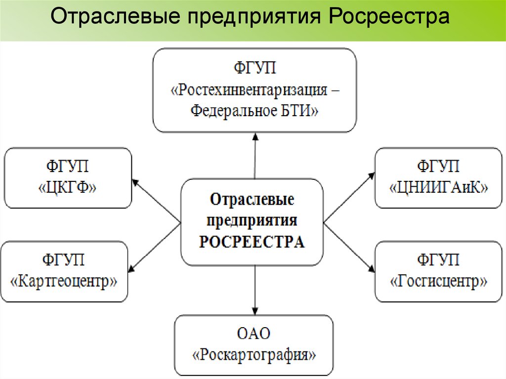 Отраслевые организации. Структура организации Росреестра. Перспективы развития геодезии. Экономическая отраслевая организация