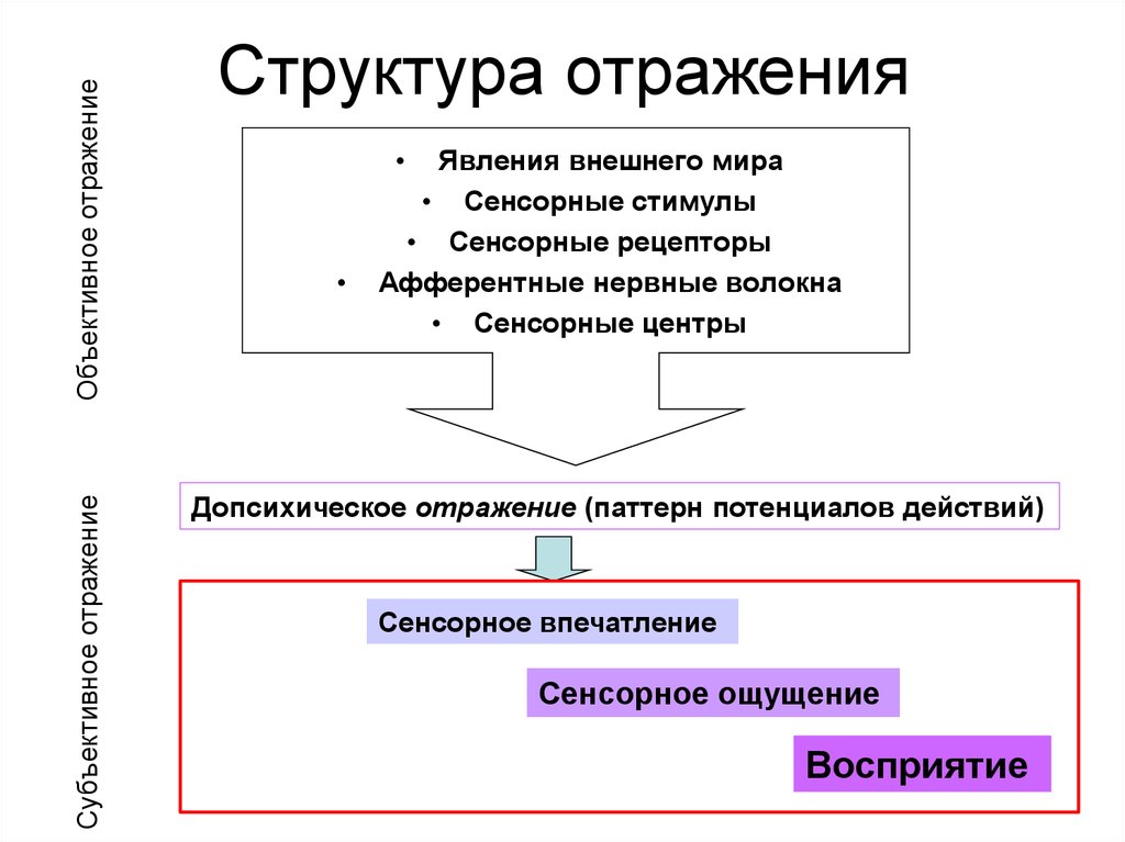 Структура техники. Структура отражения. Явления внешнего мира. Структура отражения в психологии. Структура форм отражения.