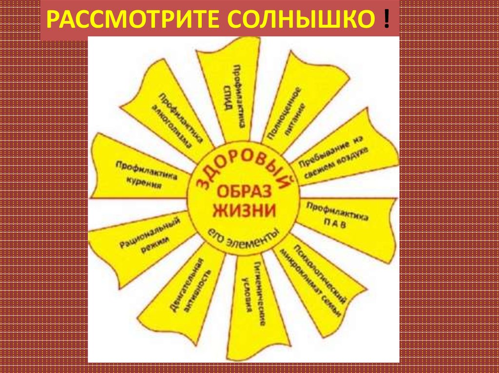 Рассмотрите солнышко !