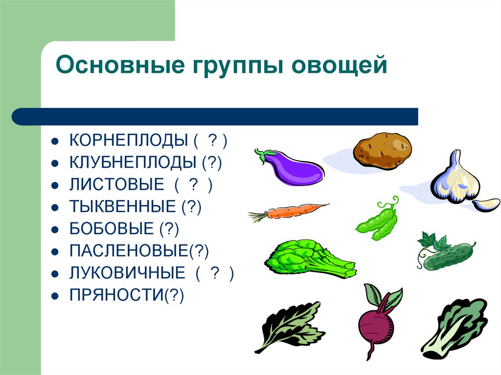 Корнеплоды список овощей с картинками