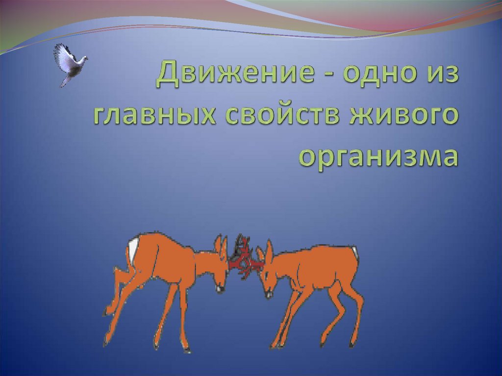 Движение организмов. Движение свойство живых организмов. Движение это в биологии. Презентация по биологии движение организмов. Свойство живого движение.