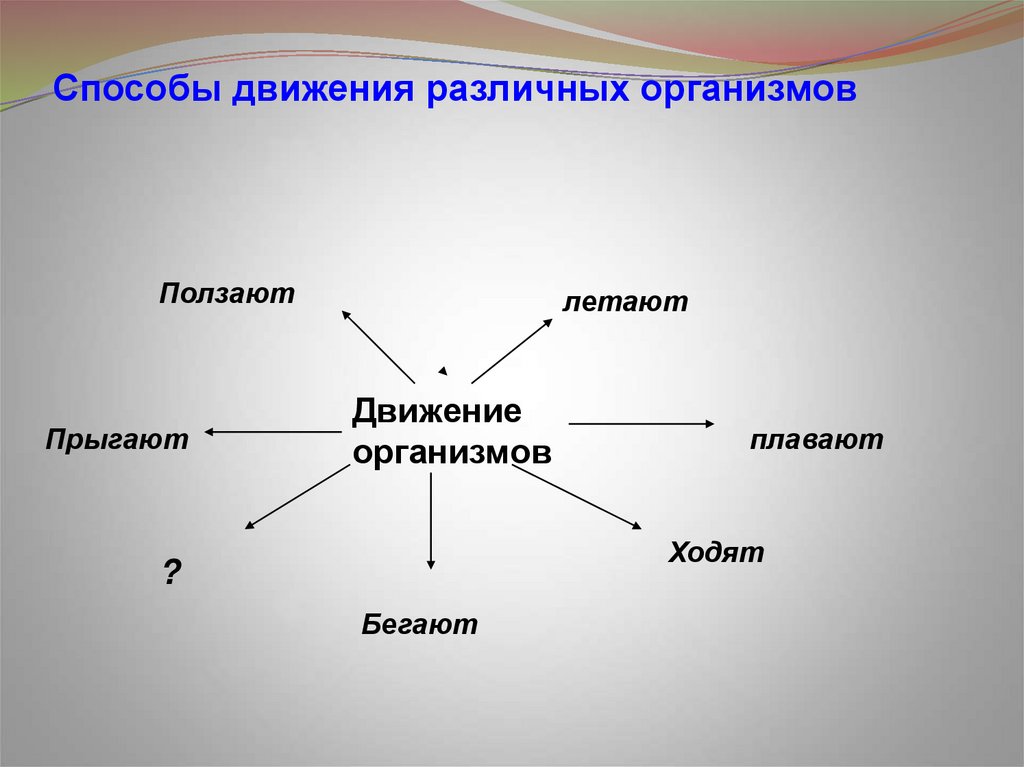 Способы передвижения. Способы движения живых организмов биология 6 класс. Способы передвижения организмов. Движение живых организмов 6 класс таблица. Движение организмов таблица.