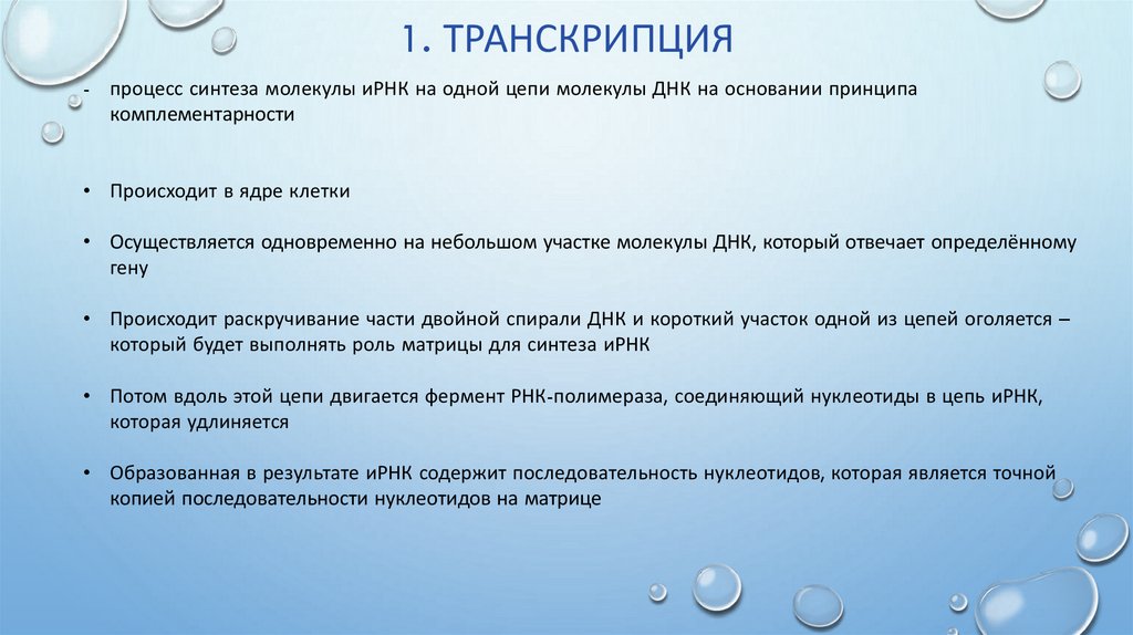 Матрицей для синтеза молекулы ирнк служит. Молекулярные основы наследственности доклад. Транскрипция последовательность процессов. Транскрипция происходит в ядре. Синтез молекул.