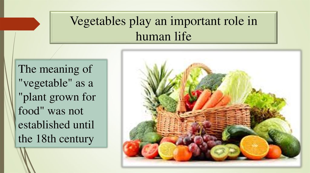 role-of-vegetables-in-human-nutrition-nutrition-pics