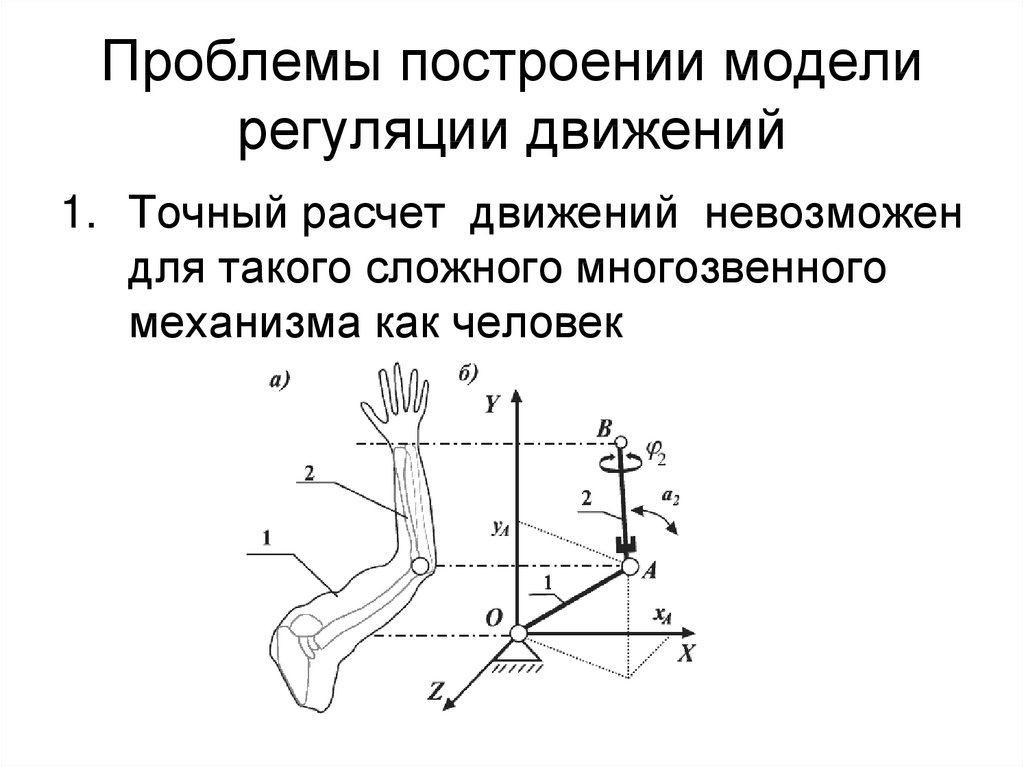 Регуляция движений