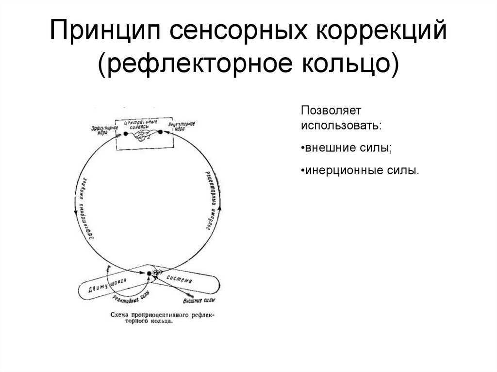 Схема рефлекторного кольца по бернштейну