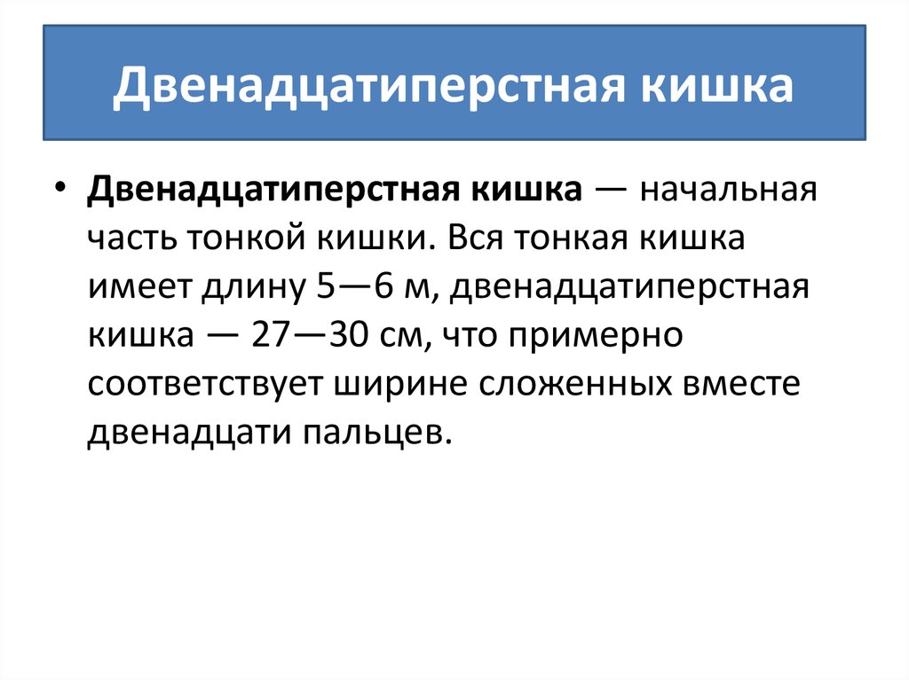 Пищеварение в желудке и двенадцатиперстной кишке действие ферментов 8 класс презентация