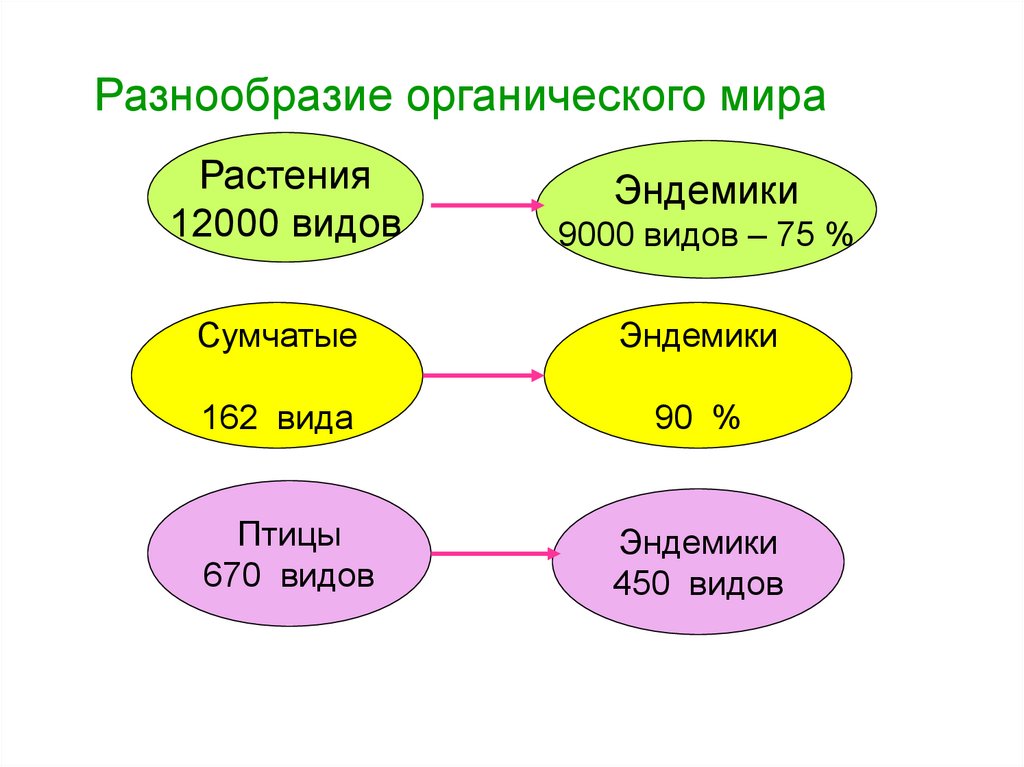 Разнообразие 3