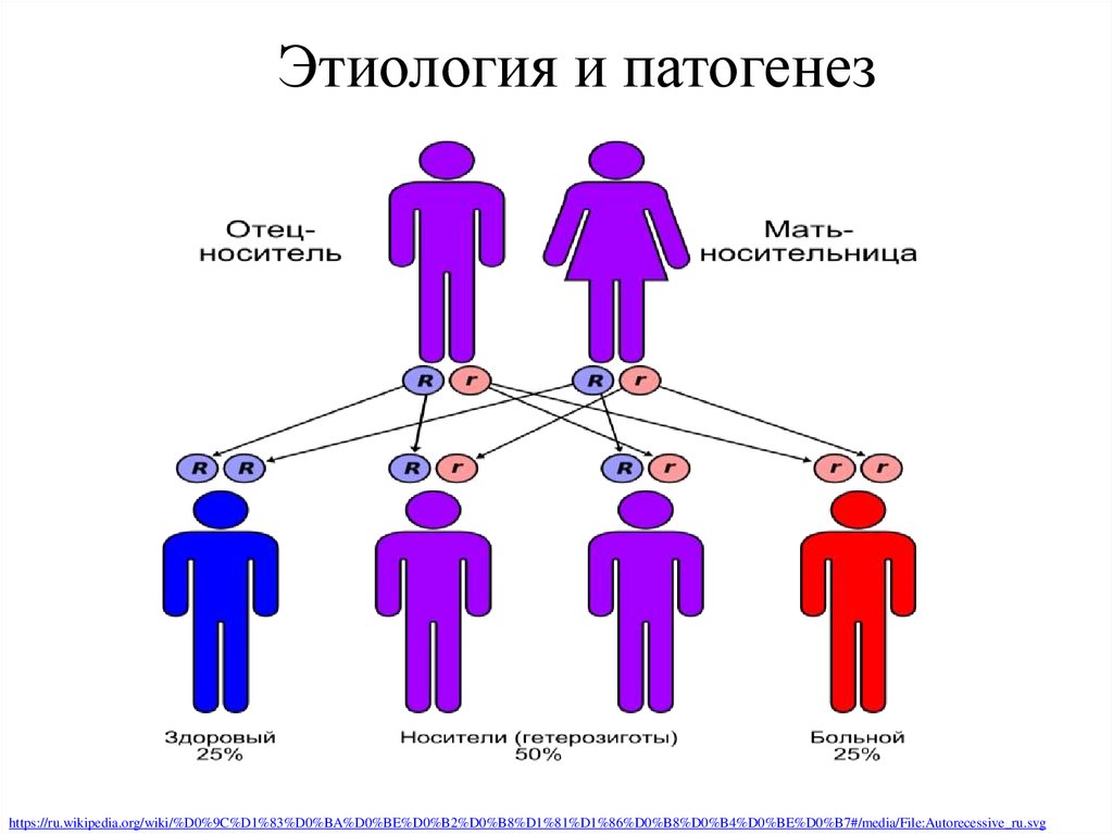 Мать здорова отец болен. Муковисцидоз схема наследования. 7 Хромосома муковисцидоз. Мать носитель Гена отец здоровый. Генетическое заболевание мукоцитоз.