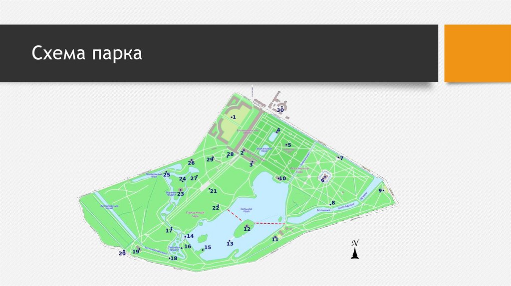 Пушкино парк схема магазинов