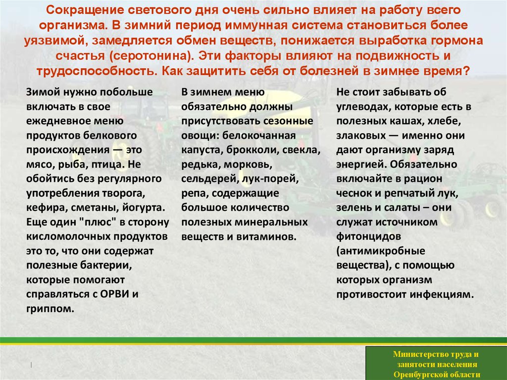 безопасность в быту. безопасность обращения с электроприборами. безопасное поведение в быту. основные опасности в быту. безопасное поведение в бытовых ситуациях обж 5 класс.