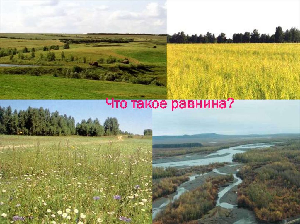Виднелись или необработанные. Равнина. Равнина, Холмистая равнина, плоскогорье. Самая плоская равнина России. Самые низкие равнины.