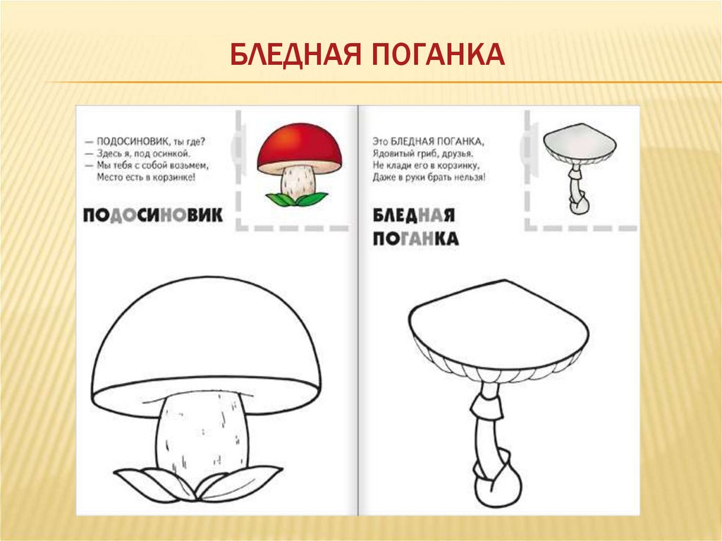 Грибы съедобные и несъедобные картинки для детей с названиями раскраски