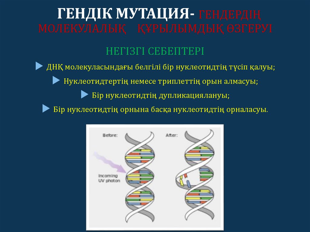 Мутации по генотипу