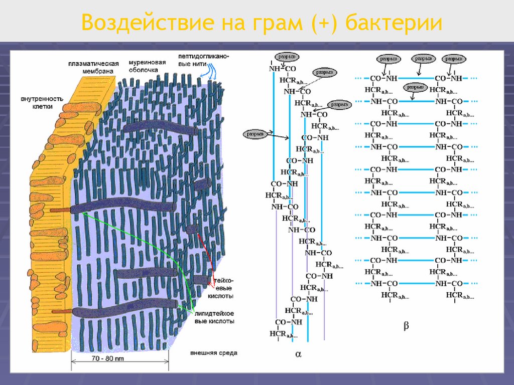 воздействие плазмы. низкотемпературная плазма. воздействие плазмы. плазма в космическом пространстве физика. воздействие плазмы.