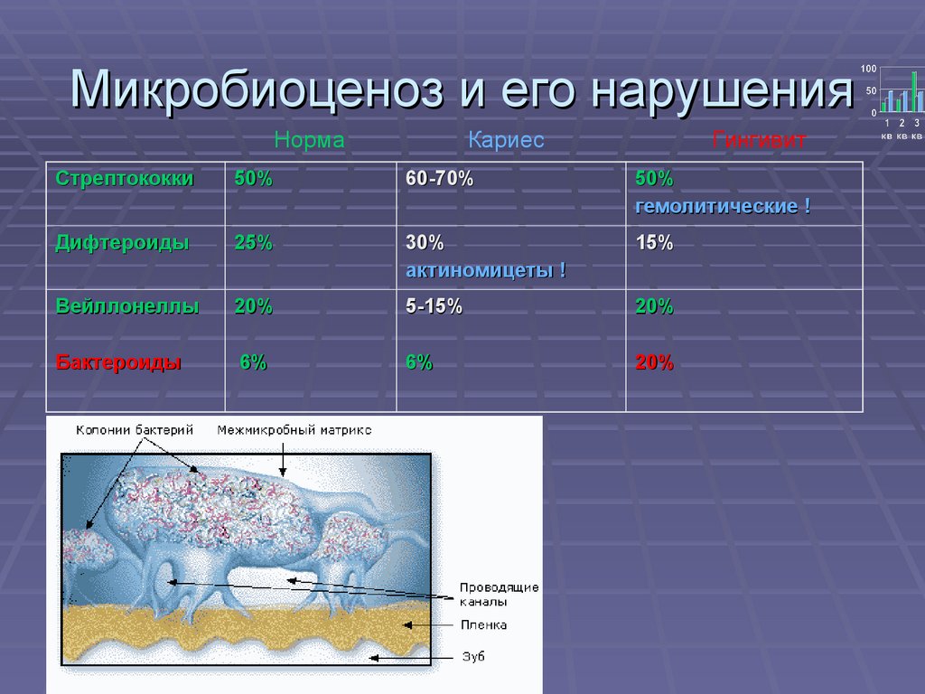 Микробиоценоз. Микробиоценоз это микробиология. Микробиоценоз и микробиоценоз. Микробиоценоз, определение понятия..