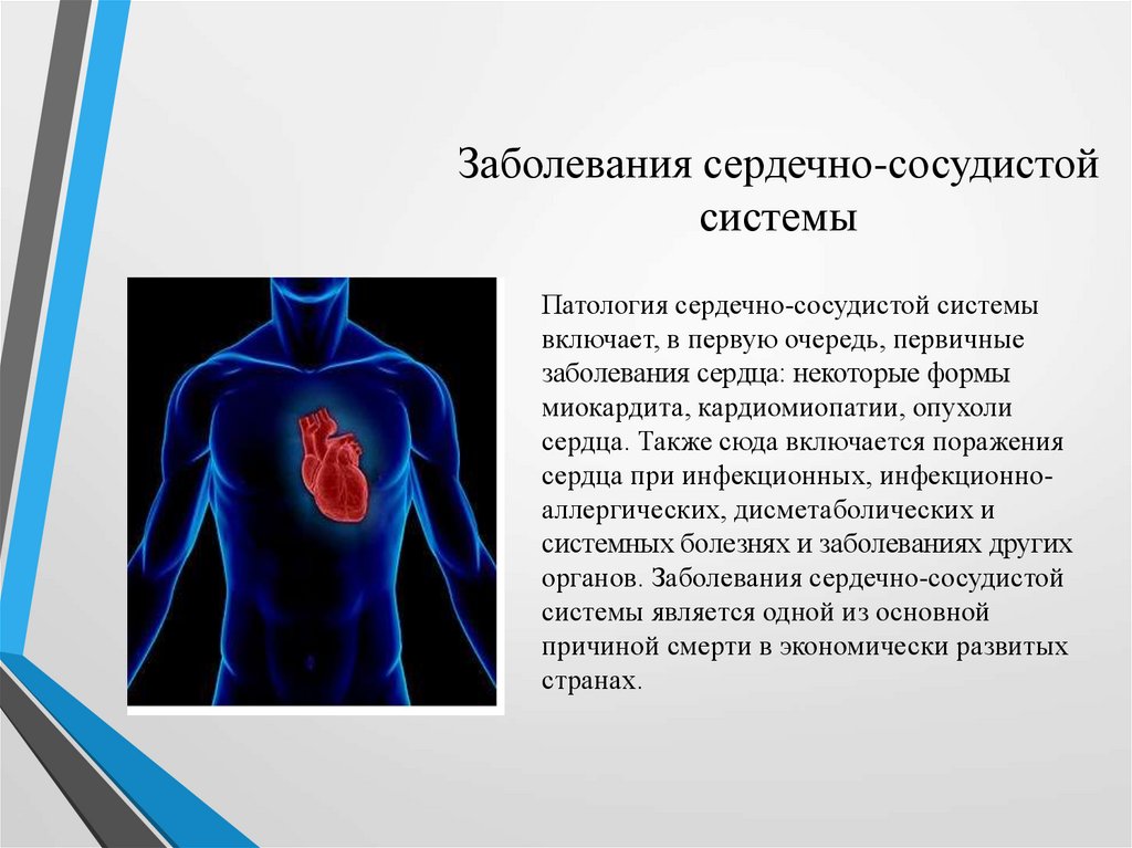 Болезни сердечно сосудистых органов. Заболевания сердечно-сосудистой системы. Заболеваний сердца и сердечно-сосудистой системы. Нарушение сердечно сосудистой системы.