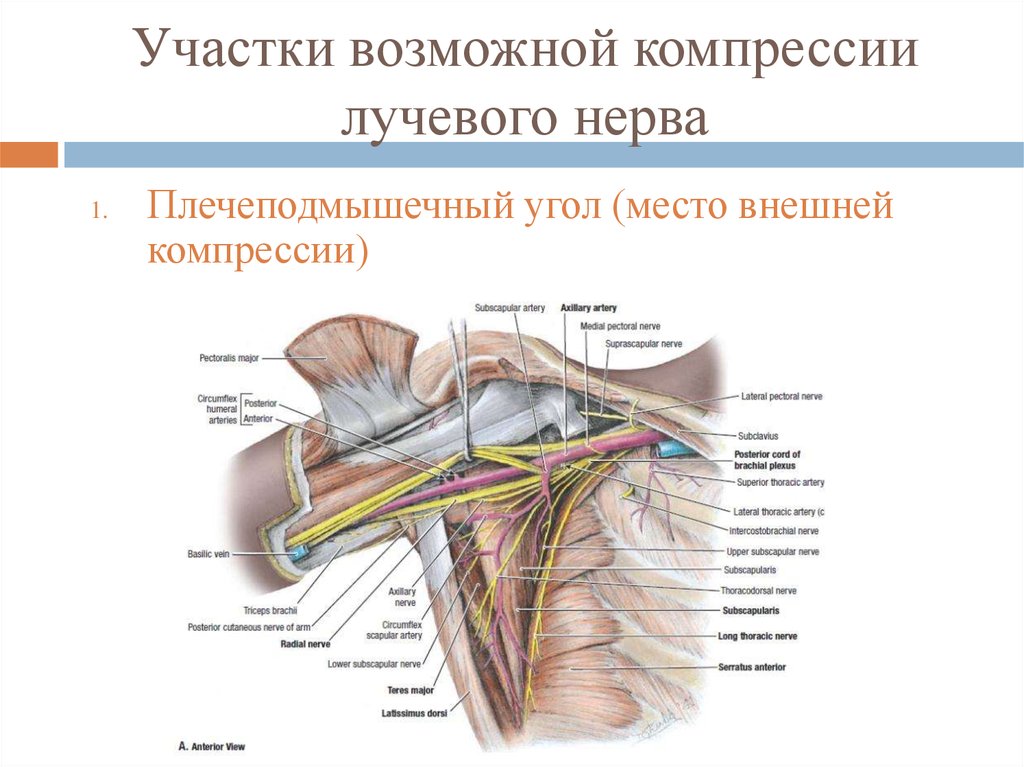 Туннельный синдром нерва