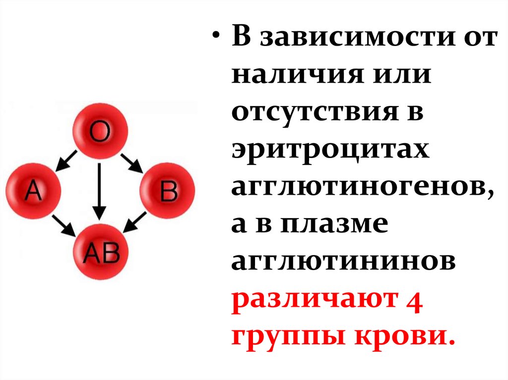 Агглютинины 2 группы