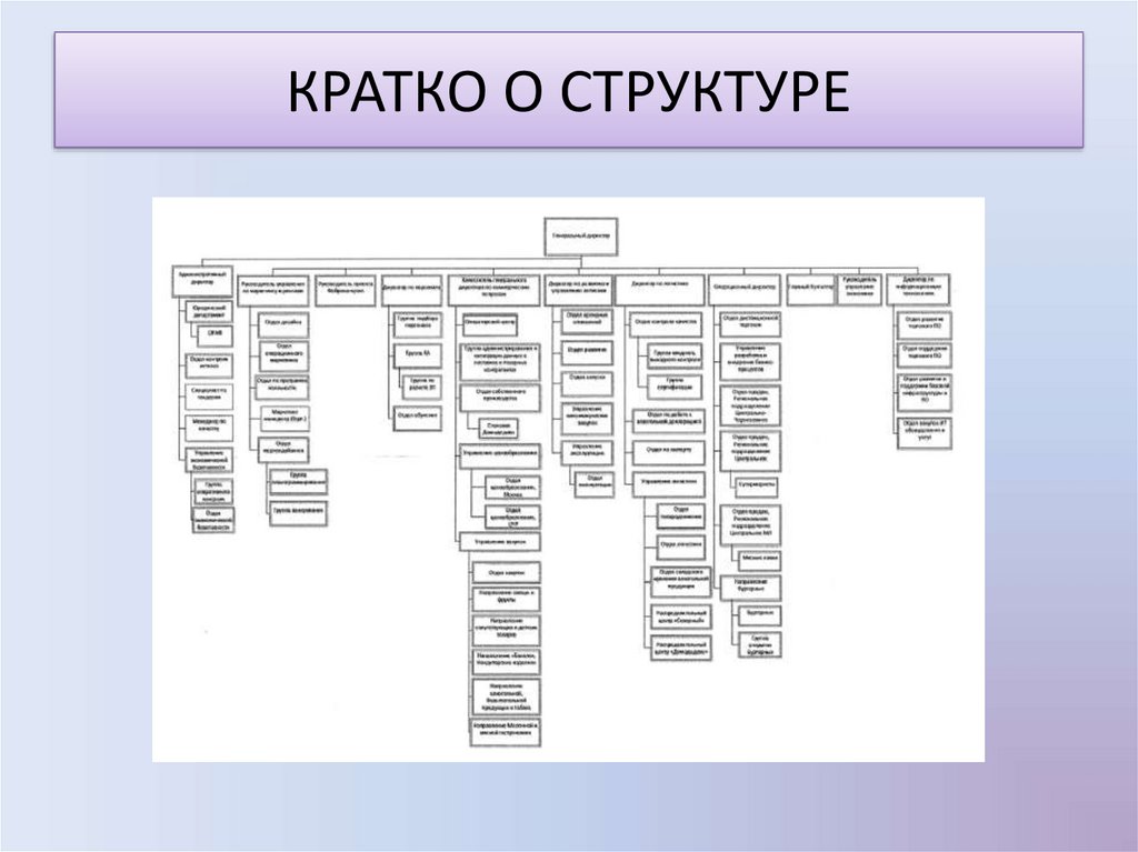 Мираторг презентация pdf