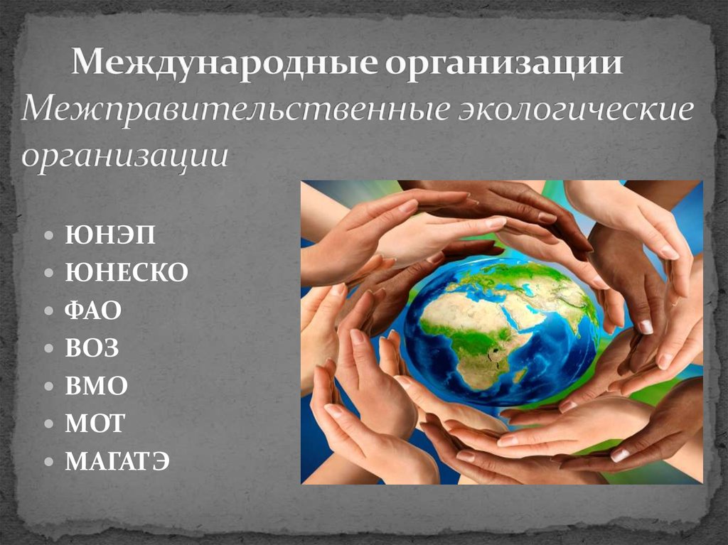 Международные организации Межправительственные экологические организации
