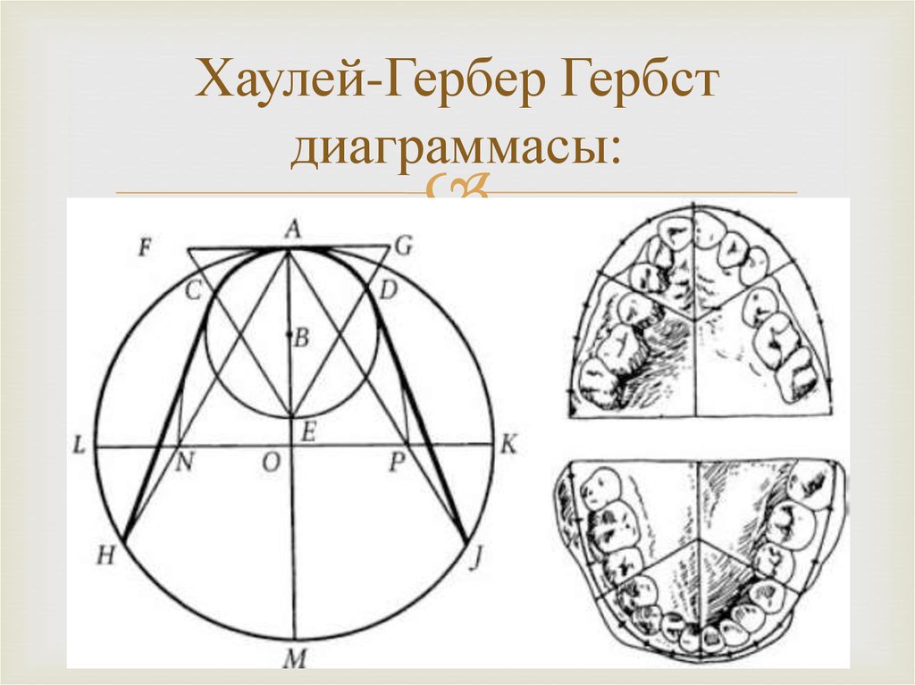 Диаграмма хаулея гербера гербста