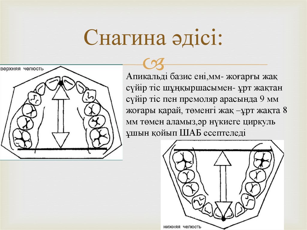 Снагина әдісі: