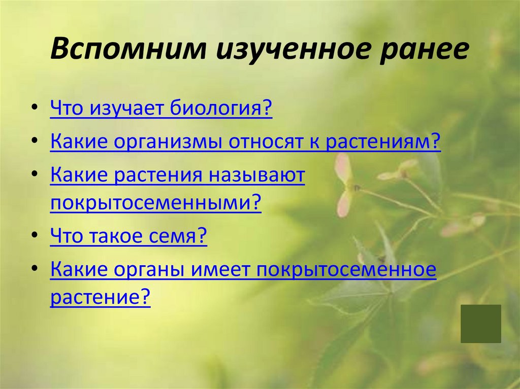 Вспомните изученный в 7 классе материал. Вспомним изученное. Строение семени презентация биология 6 класс. Вспомним изученное для презентации.