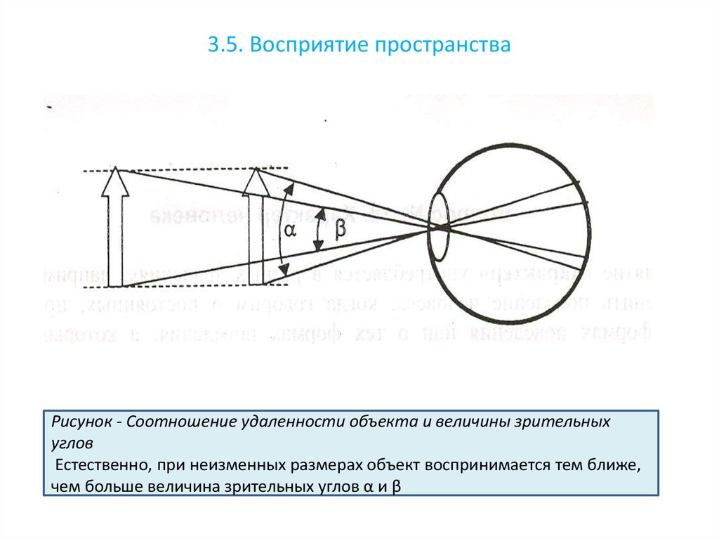 Восприятие величины картинки