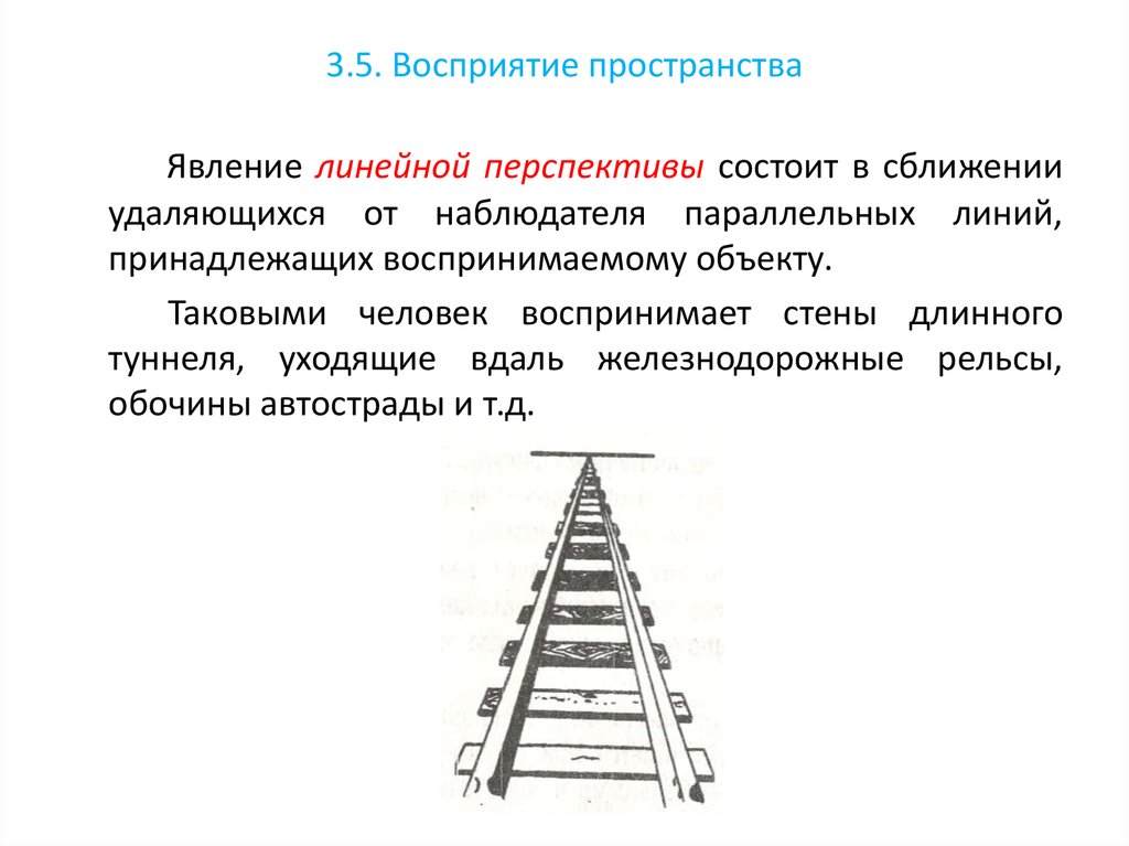 Организация и изображение внешнего пространства что это