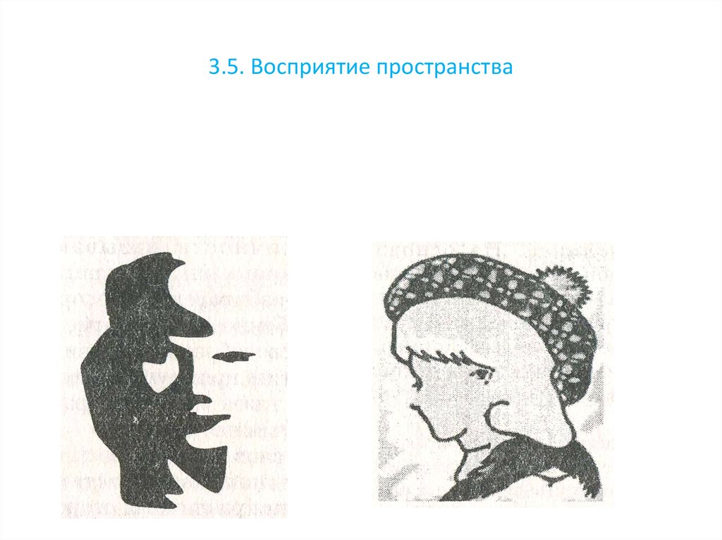 Восприятие учениками рисунков муляжей диапозитивов называется