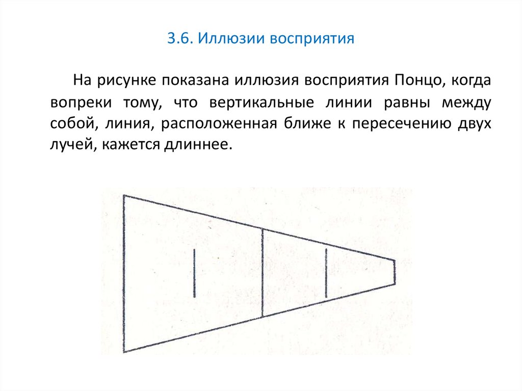 Презентацию иллюзии восприятия