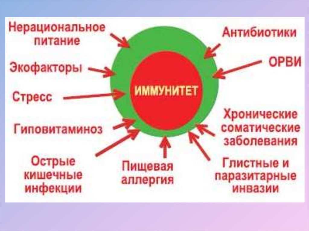 Почему снижается иммунитет. Факторы влияющие на иммунитет. Факторы влияющие на снижение иммунитета. Факторы влияющие на иммунную систему. Причины снижения иммунитета.