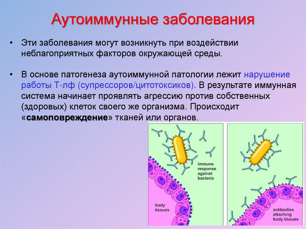 Иммунная болезнь. Аутоиммунные заболевания что это. Аутоиммунныезаболевание. Авто иммунное заболевание что такое. Аутоиммвннезаболевания.