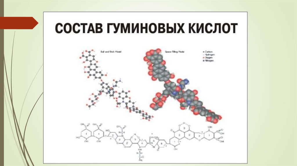 Гуминовые кислоты влияние