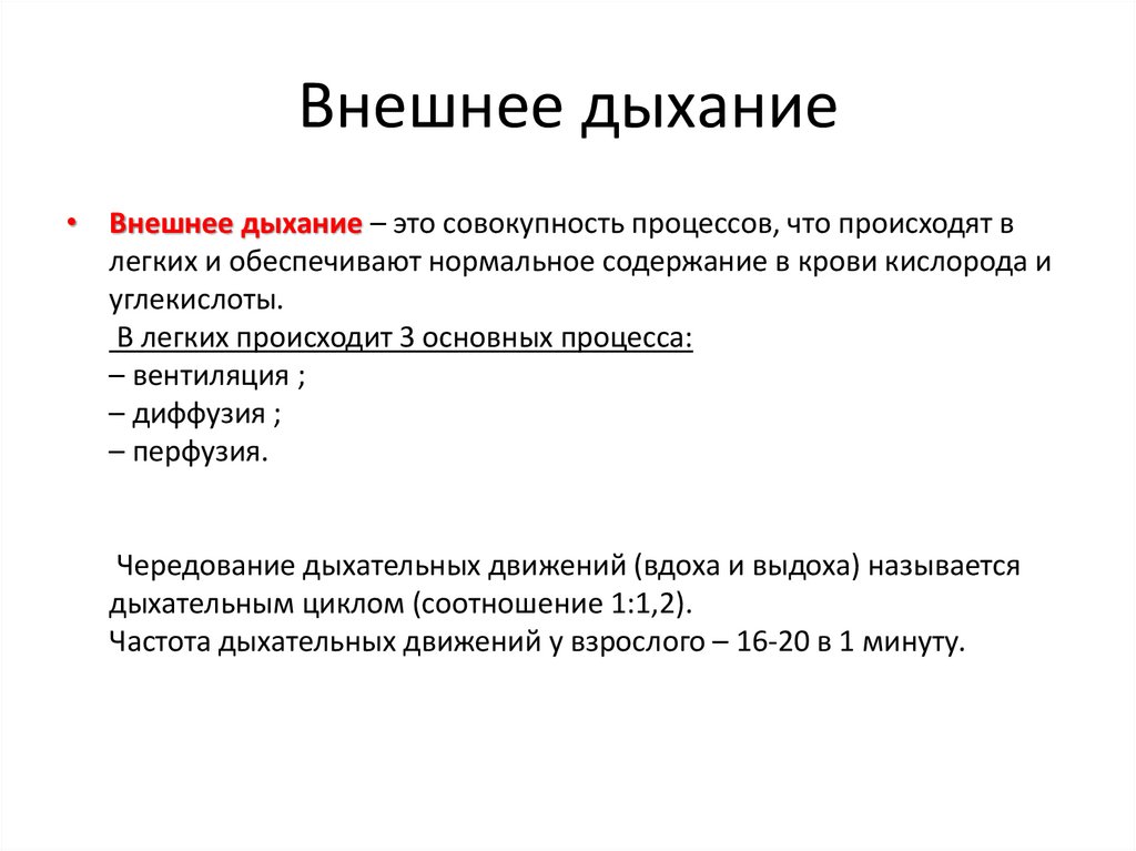 Внешнее определение. Внешнее дыхание. Понятие о внешнем дыхании. Понятие о системе внешнего дыхания. Характеристика внешнего дыхания.