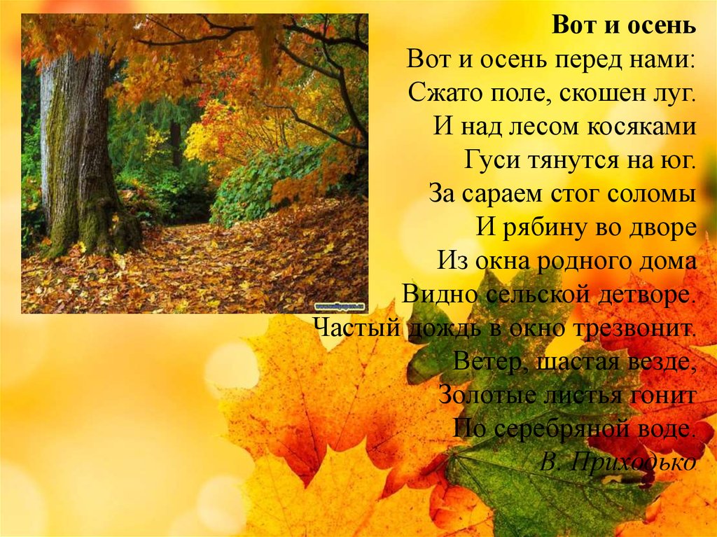 Текст стихотворения осень. Золотая осень стих. Стихи на осеннюю тему. Стихотворение про осень. Вот и осень перед нами.