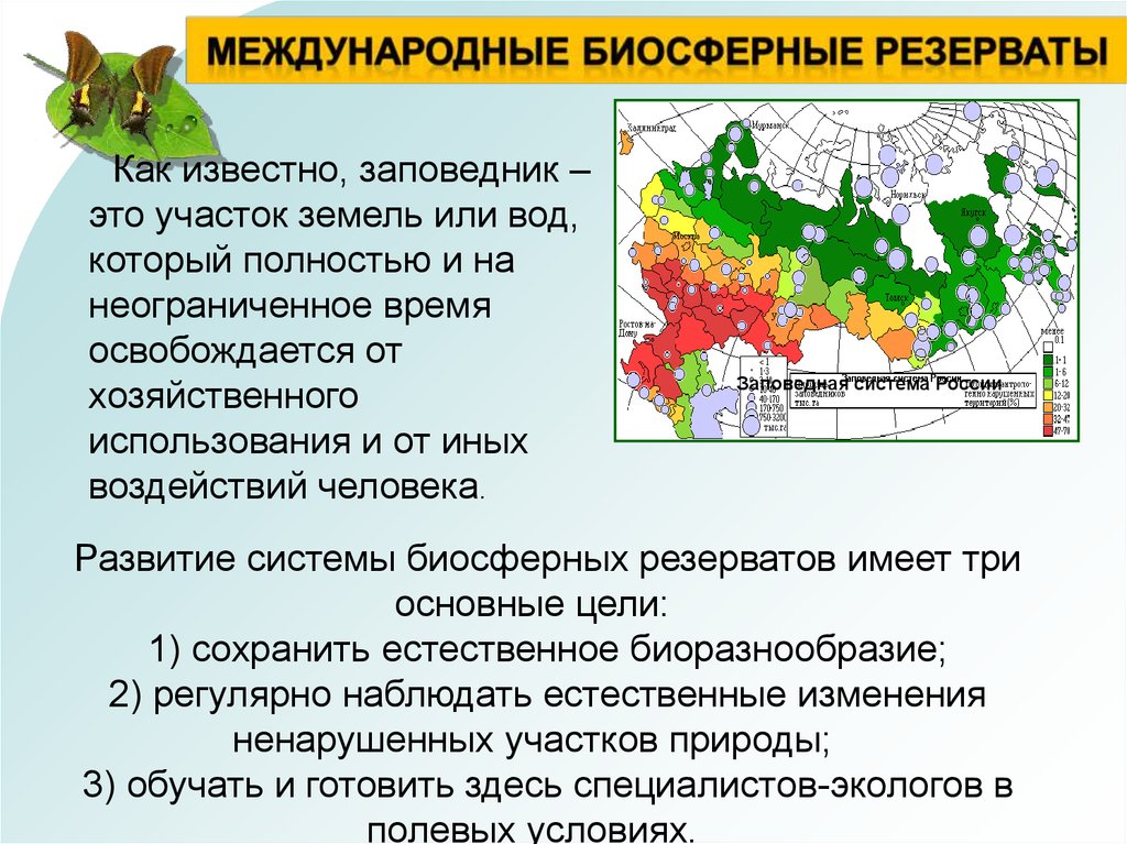 Пути сохранения биологического разнообразия. Стратегия сохранения биоразнообразия. Центры видового разнообразия. Карта биологического разнообразия России. Буклет на тему сохранение биологического разнообразия.