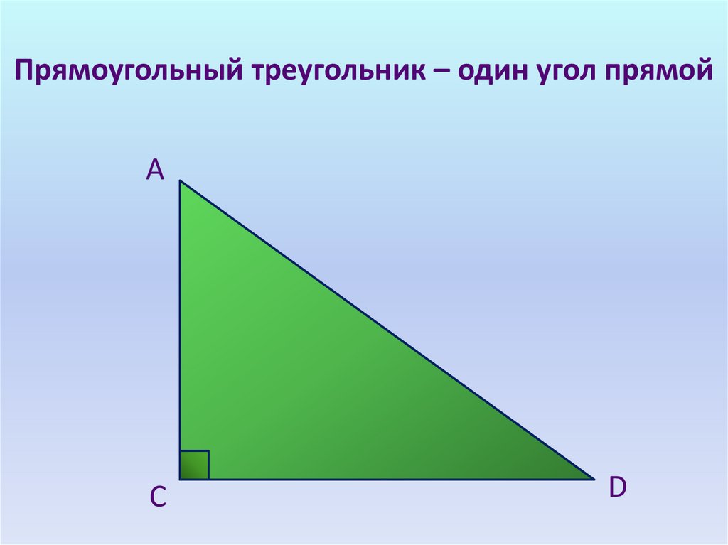 1 из сторон прямоугольного треугольника