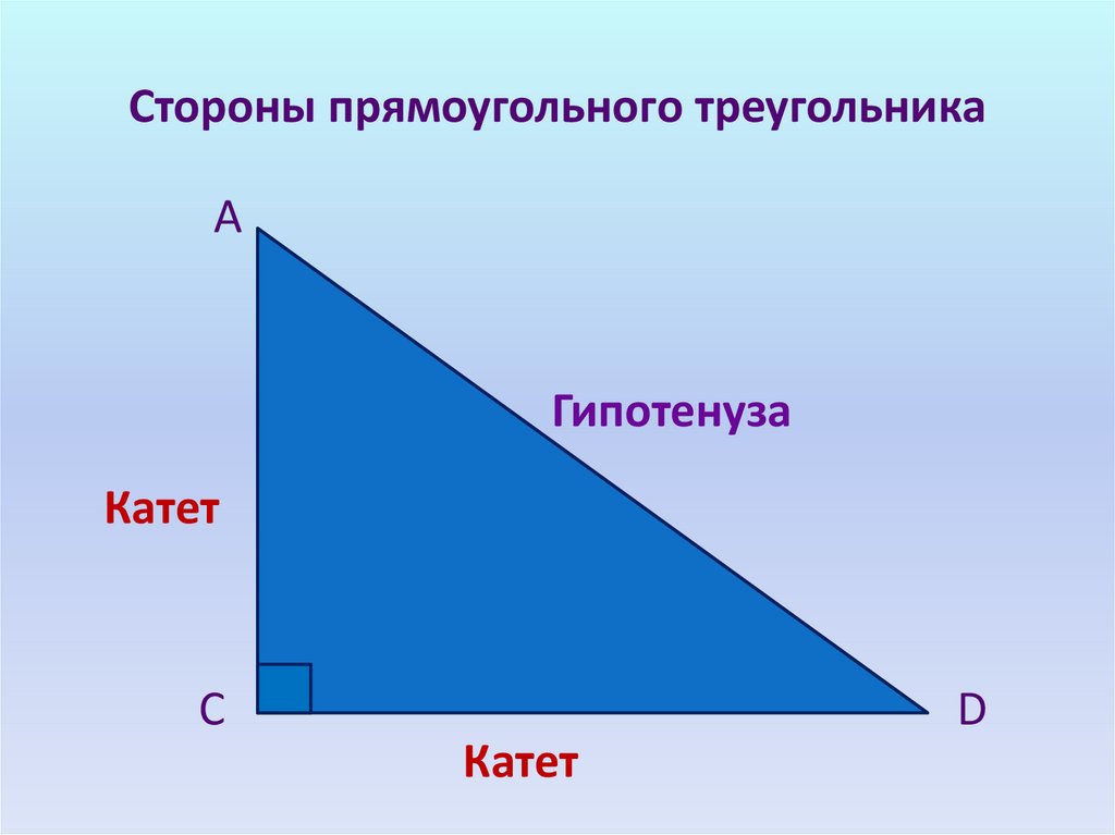 Установите вид треугольника