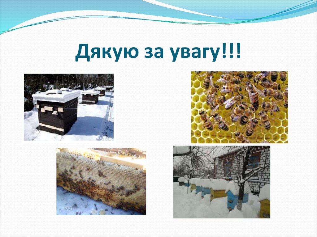 Дякую за увагу!!!