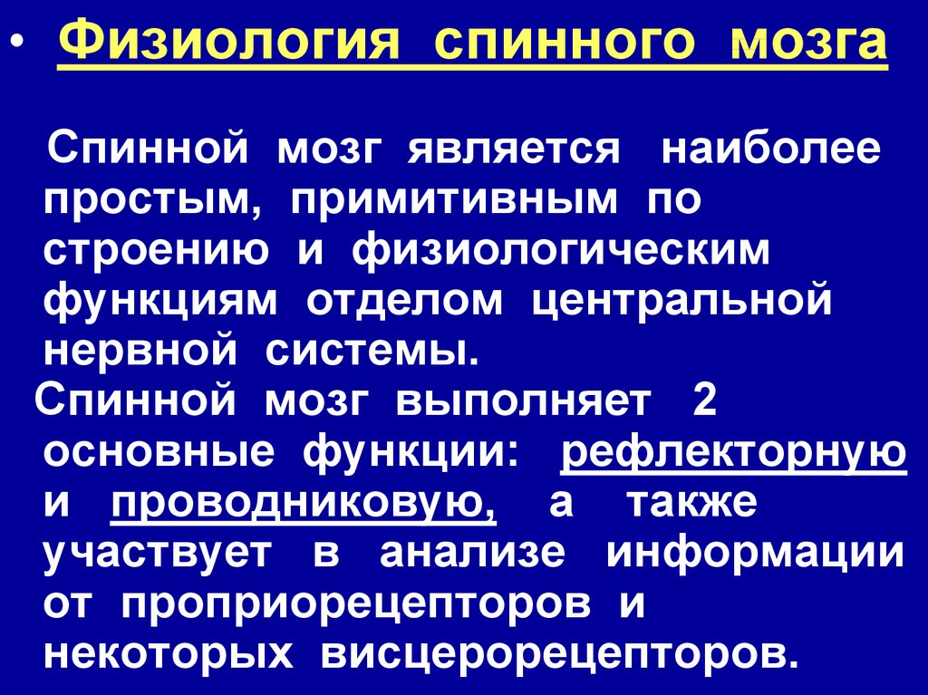 Физиология спинного мозга презентация