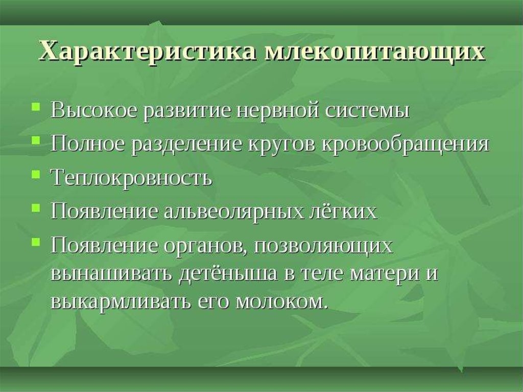 Презентация характеристика млекопитающих