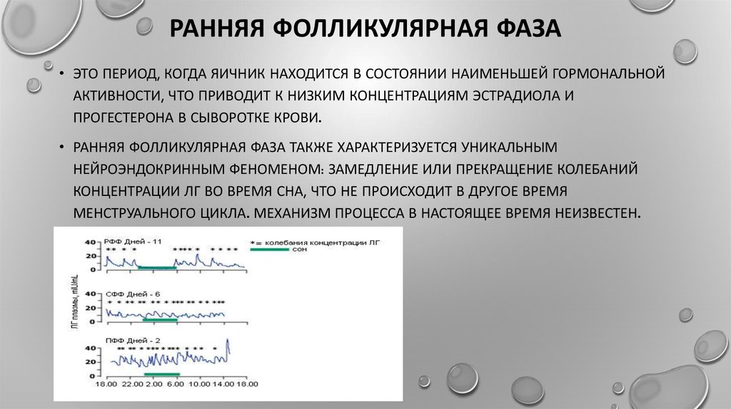 Фолликулярная фаза. Ранняя фолликулярная фаза. Ранняя фолликулярная фаза дни. Фолликулярная фаза что это какой день цикла. Продолжительность фолликулярной фазы.