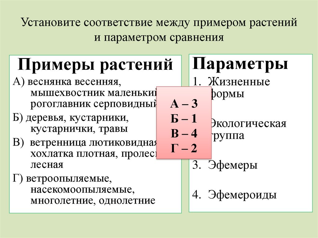 Соответствие между видами растений. Таблица эфемероидов. Роль эфемероидов таблица.