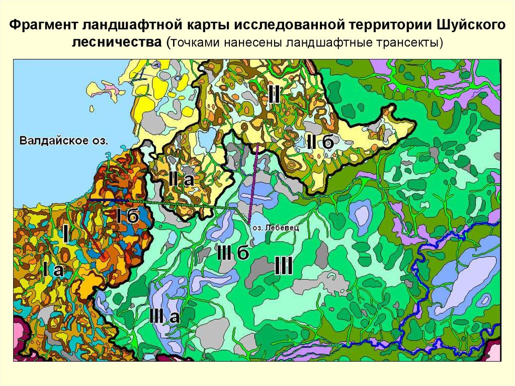 Карта ландшафта. Ландшафтная карта Москвы. Ландшафтоведение карта. Ландшафт Владивостока карта.