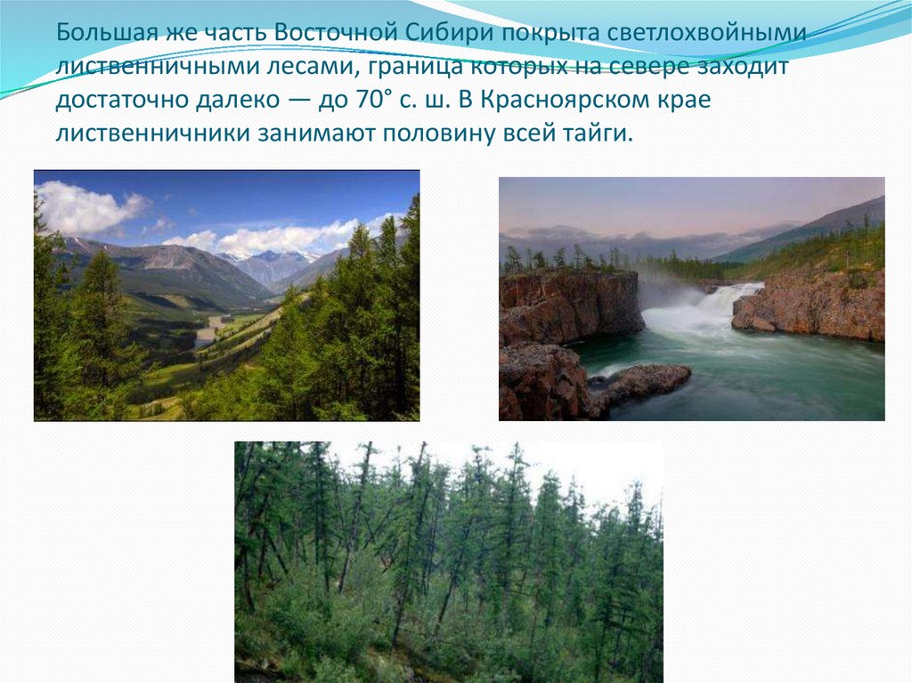 Какие особенности природы сибири зависят от обширности. Лесные ресурсы Восточно Сибирского экономического района. Природные условия Восточной Сибири. Природные условия района Восточной Сибири. Природные условия и ресурсы Восточной Сибири.